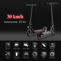 Electric scooter: iScooter i9 Pro 350W