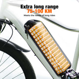 Electric bike: Iscooter EB3 E-Bike 500W